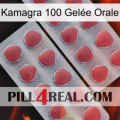 Kamagra 100 Gelée Orale 19